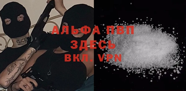 винт Каменка