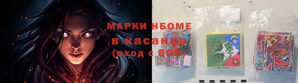 винт Каменка