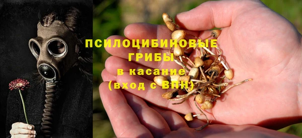 ГАЛЛЮЦИНОГЕННЫЕ ГРИБЫ Зерноград