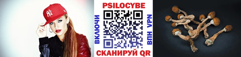 цена Свободный Галлюциногенные грибы Psilocybine cubensis
